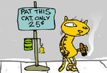 ���� ���� ������ :: ���� ������� :: ���� Pat Cat