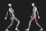 ���� ���� ������ :: ���� ������� :: ���� Wire Skeleton