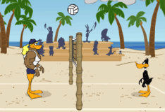 Tricky Duck Volleyball