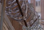 ���� ���� ������ :: ����� :: ���� ������� ���������