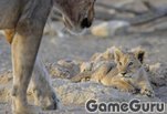 ���� ���� ������ :: ����� :: ���� ����