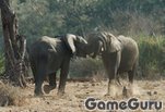���� ���� ������ :: ����� :: ���� �����
