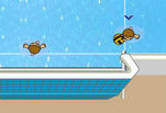 ���� ���� ������ :: ���������� ���� :: ���� Water Polo