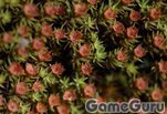 ���� ���� ������ :: ����� :: ���� �����